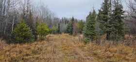 Pin #420950063 HWY 17 N, Kenora, ON , MLS #X13266706 , Image - 1