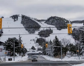 177 Rosie Street, Grey County, ON , MLS #X13652992 , Image - 1