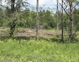 120 BOAT LAUNCH Road E, Lanark, ON , MLS #X13495140 , Image - 1