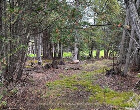 0 Rocksprings Road, Leeds and Grenvi, ON , MLS #X13542234 , Image - 1