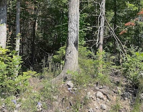 Lot 30 White Valley Road, Peterborough, ON