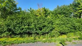 LOT 7 PLAN 246 Tolmies Corners Road, Stormont, Dund, ON