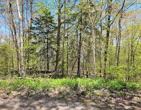 PT LOT 16 CON 38 HARKINS RD Road E, Bruce, ON