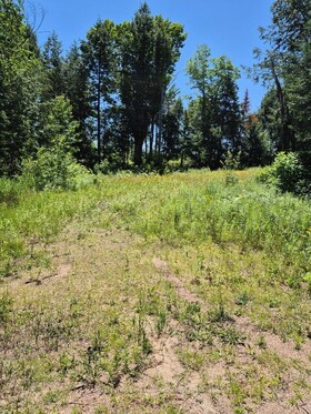 Lot 15 North Steenburg Lake Road, Hastings, ON