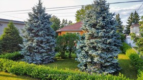 706 Prince Street, Cochrane, ON , MLS #T13602298 , Image - 1