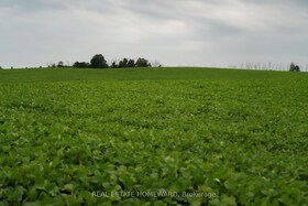 937082 AIRPORT Road W, Dufferin, ON , MLS #X13607006 , Image - 1