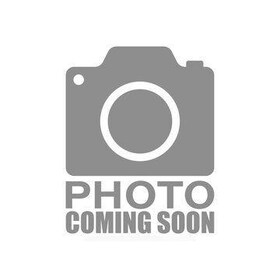 33 Jarvis Street, Brantford, ON