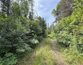 PCL 9565 Binney Lake N/A, Timiskaming, ON , MLS #T13631902 , Image - 1
