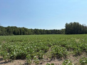 1194 Concession 14 W Concession, Bruce, ON , MLS #X13641036 , Image - 1
