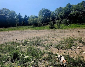 0 Keele Street, York, ON , MLS #N13641374 , Image - 1