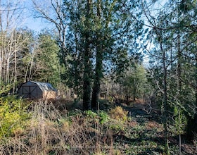 23 Front Street, Bruce, ON , MLS #X13650196 , Image - 1