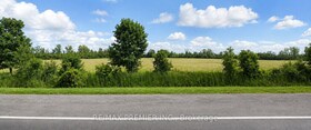 551 Pefferlaw Road, York, ON
