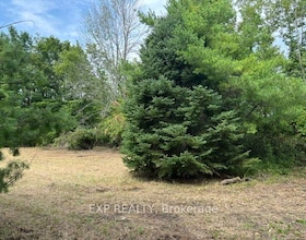 Lot 5 & 6 RP 18 Noonan Road, Northumberland, ON , MLS #X13653518 , Image - 1