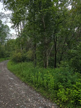 PCL 15528 & 15527 Martin Bird Road, Timiskaming, ON