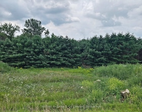 159 Pt 2 Council Road, Bruce, ON