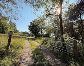 575 Reive Boulevard, Simcoe, ON , MLS #N13664800 , Image - 1