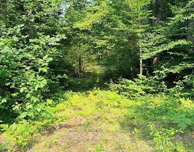 663 Skootamatta Lake Road, Frontenac, ON , MLS #X13665752 , Image - 1