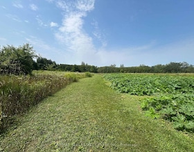 0 20 Sideroad N/A N, Wellington, ON , MLS #X13668098 , Image - 1