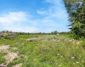 Lot 1 2332 Rumney Road, Simcoe, ON , MLS #S13699550 , Image - 1