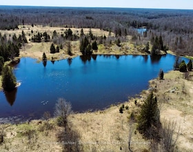 12899 522 Highway W, Parry Sound, ON , MLS #X13717404 , Image - 1