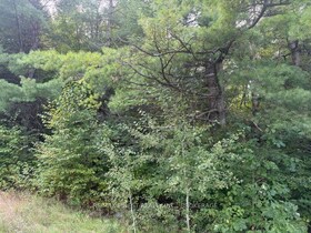 4900 County Rd 4 N/A, Lennox & Addin, ON