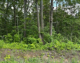 100, 104, and 106 Dingman Road, Northumberland, ON , MLS #X13792960 , Image - 1