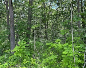 101, 102 and 103 Dingman Road, Northumberland, ON , MLS #X13792974 , Image - 1