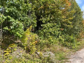 PCL 28216 Highway 531 N/A, Nipissing, ON