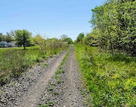 V/L County Road 46 Road, Essex, ON , MLS #X13826870 , Image - 1