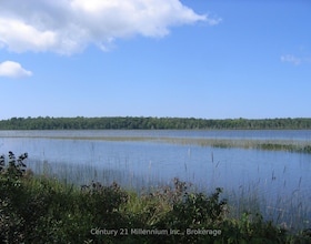 0 LT 26 CON 2 WBR Albemarle Concession, Bruce, ON , MLS #X13830488 , Image - 1