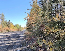 0 WILSON Road, Timiskaming, ON , MLS #T13841932 , Image - 1