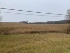 17365 Highway 48 Ave, Whitchurch-Stouffville, Ontario, Rural Whitchurch-Stouffville