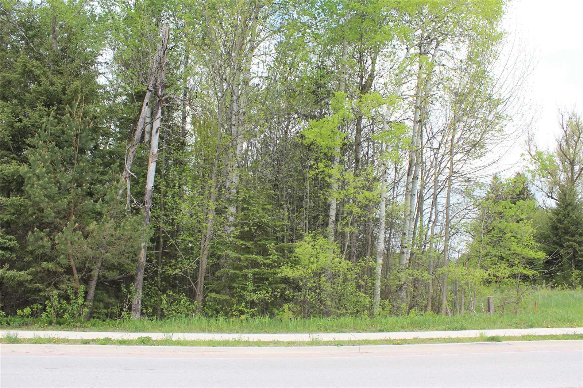 Lot 5-6 Mill St E, Springwater, Ontario, Hillsdale