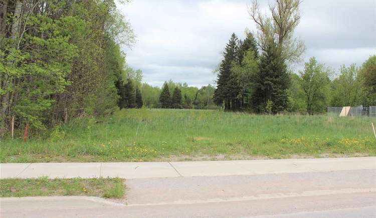 Lot5-6 86 Mill St E, Springwater, Ontario, Hillsdale