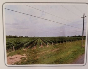 Ptlt5&6 Corp.Plan 6 Grantham, Niagara, Ontario , MLS #X5863870 , Image - 1