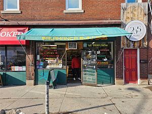 204 Baldwin St, Toronto, Ontario, Kensington-Chinatown