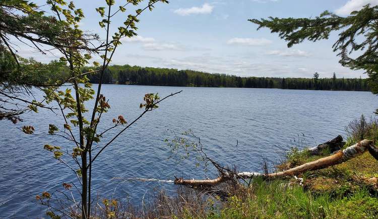 Part 3 Cadden Lake, Parry Sound Remote Area, Ontario, 