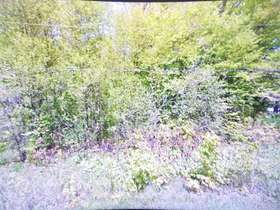 LOT 18 GREER RD Rd S, Prince Edward , Ontario