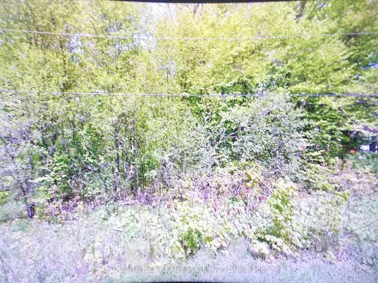 LOT 18 GREER RD Rd S, Prince Edward County, Ontario, Hillier