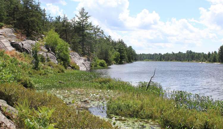 Pt Lot 9 Highway 64, French River, Ontario, 