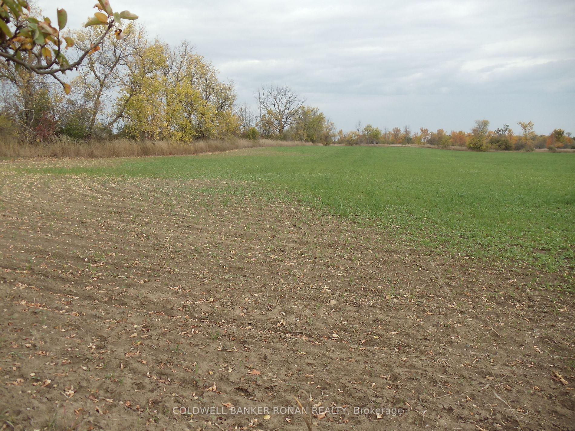 3873 Concession Rd 3, Adjala-Tosorontio, Ontario, Rural Adjala-Tosorontio