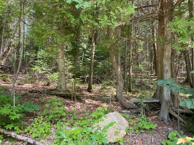 0 CROSS COUNTRY Rd, Bancroft, Ontario, 