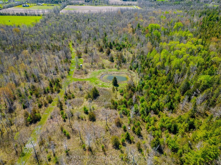 0 Callaghan Rd, Tyendinaga, Ontario, 