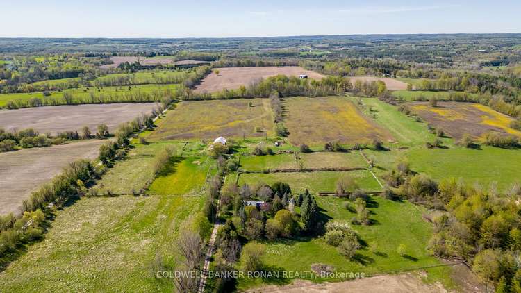 8689 County Rd 1, Adjala-Tosorontio, Ontario, Rural Adjala-Tosorontio