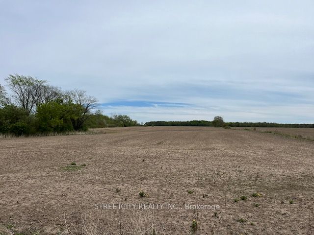 25747 Mcmurchy Line, West Elgin, Ontario, Rural West Elgin