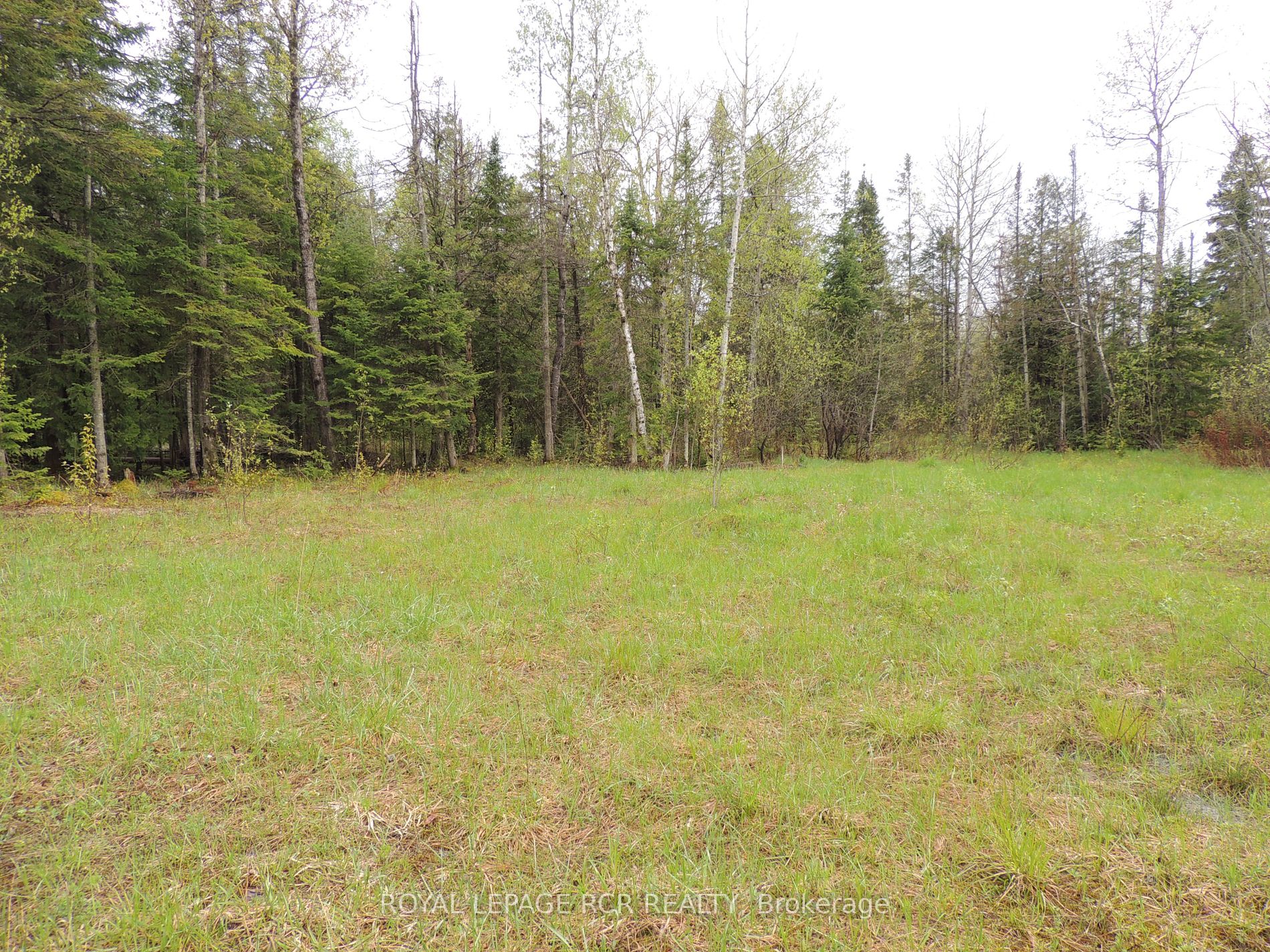 348305 4th Concession B Rd, Grey Highlands, Ontario, Rural Grey Highlands