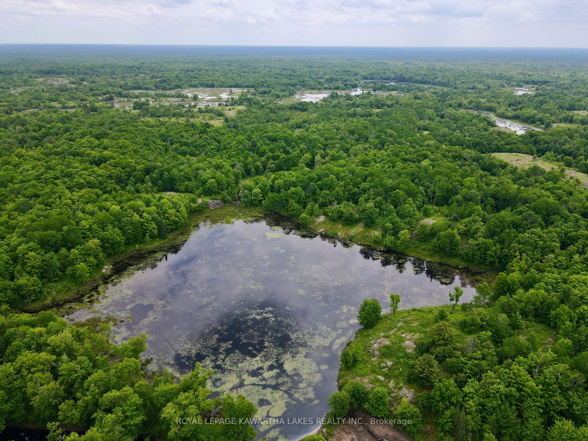 0 Black River Rd, Kawartha Lakes, Ontario, Rural Dalton