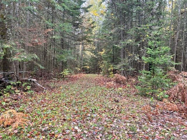 Lot 2-0 Hadlington Rd, Highlands East, Ontario, 