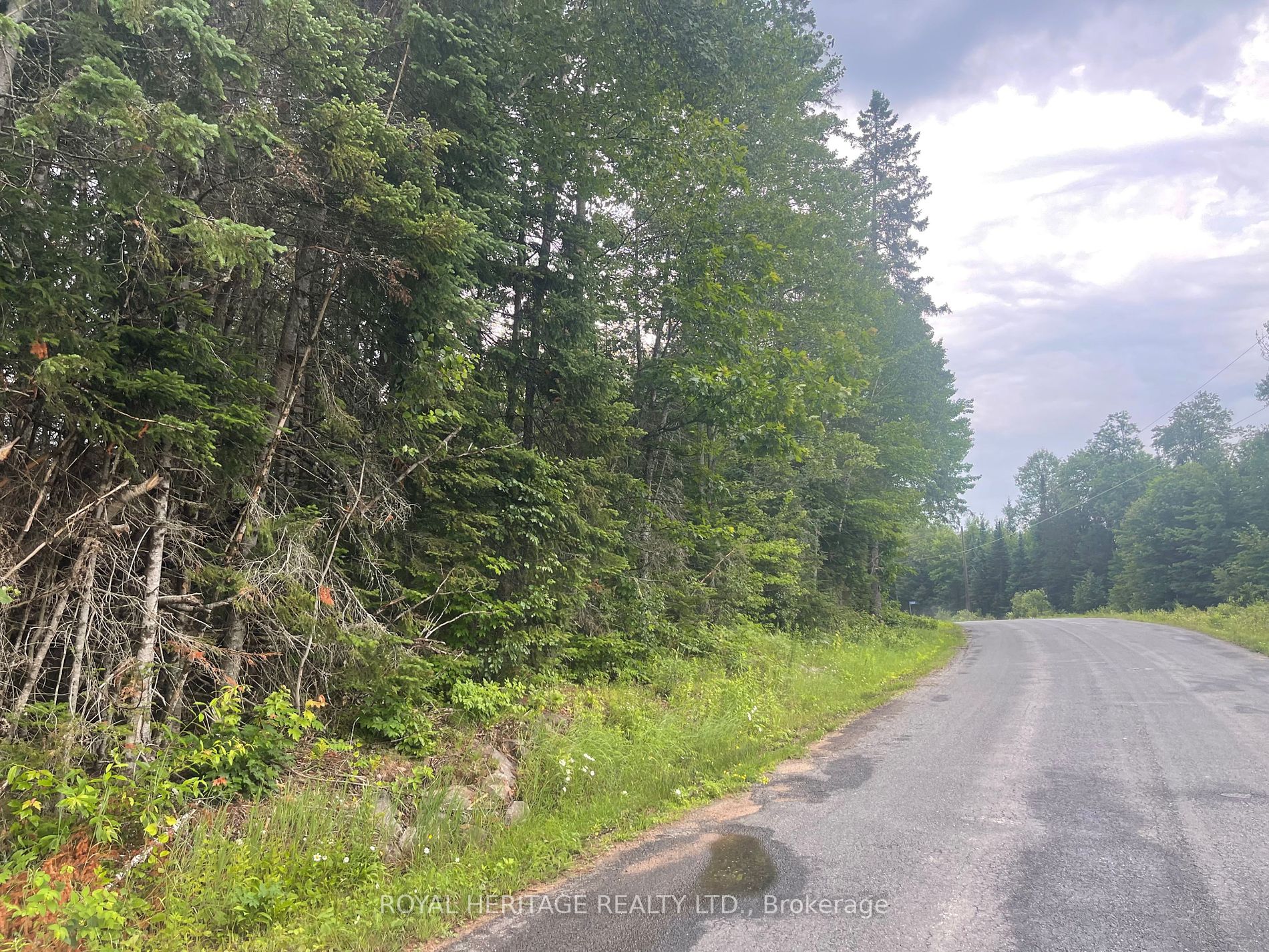 1104 Lot 4- Hadlington Rd, Highlands East, Ontario, 