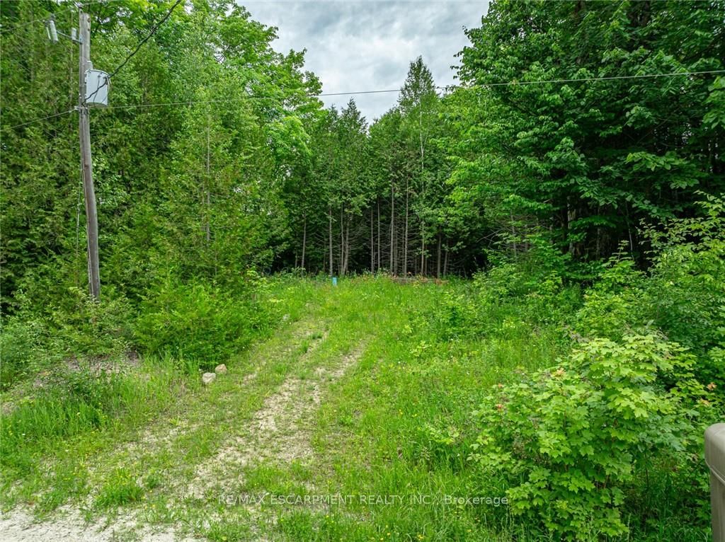 LOT 31 8th Concession B, Grey Highlands, Ontario, Rural Grey Highlands